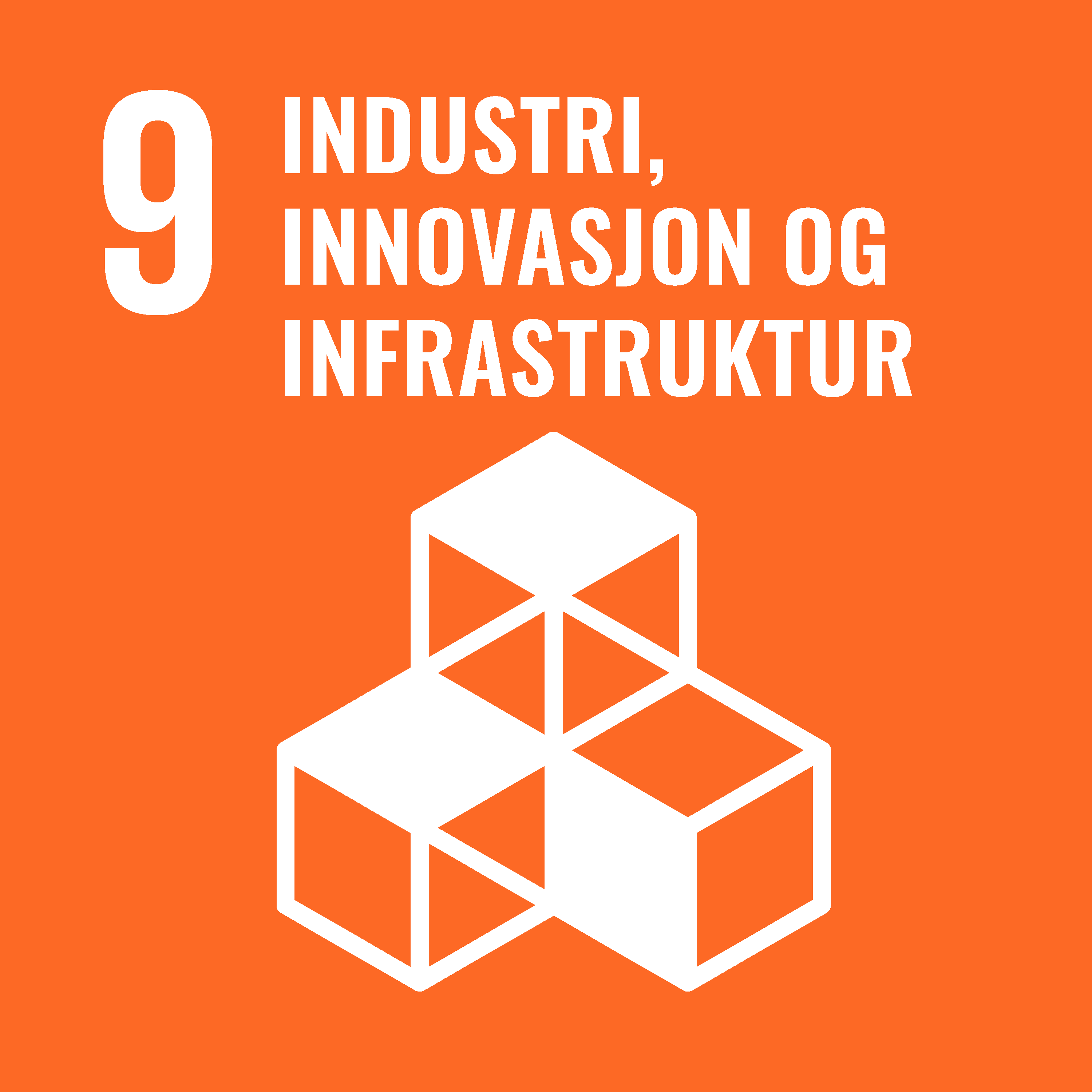 FN bærekraftsmål 9